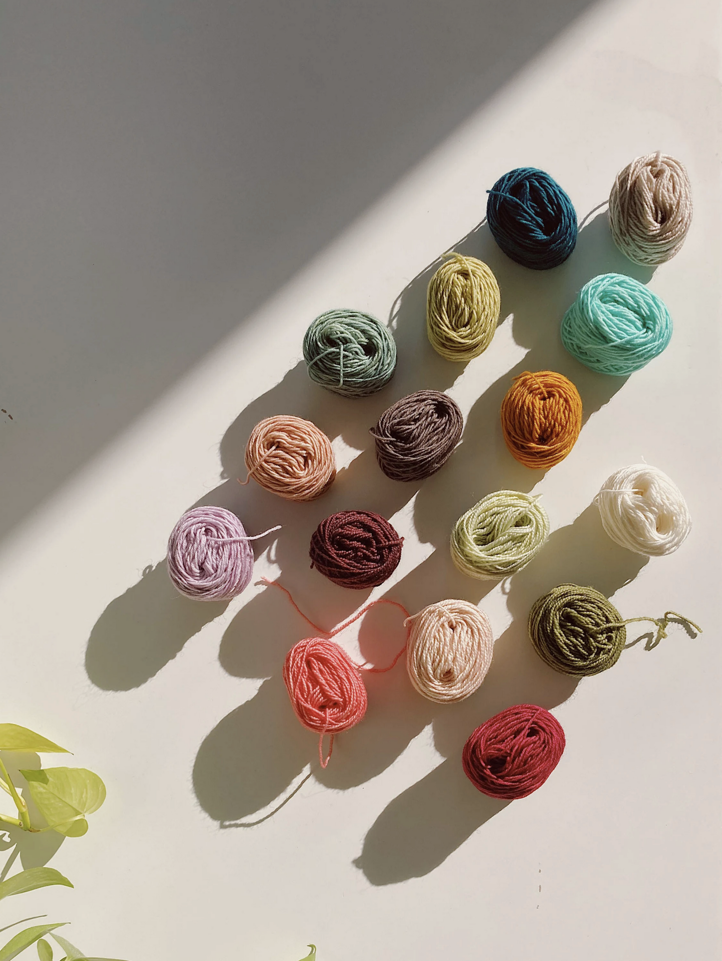 Scrappy Yarn Pack • Hand Dyed Mini Skeins • 160g of Sock Weight Wool and Nylon Yarn • Floral Palette Collection