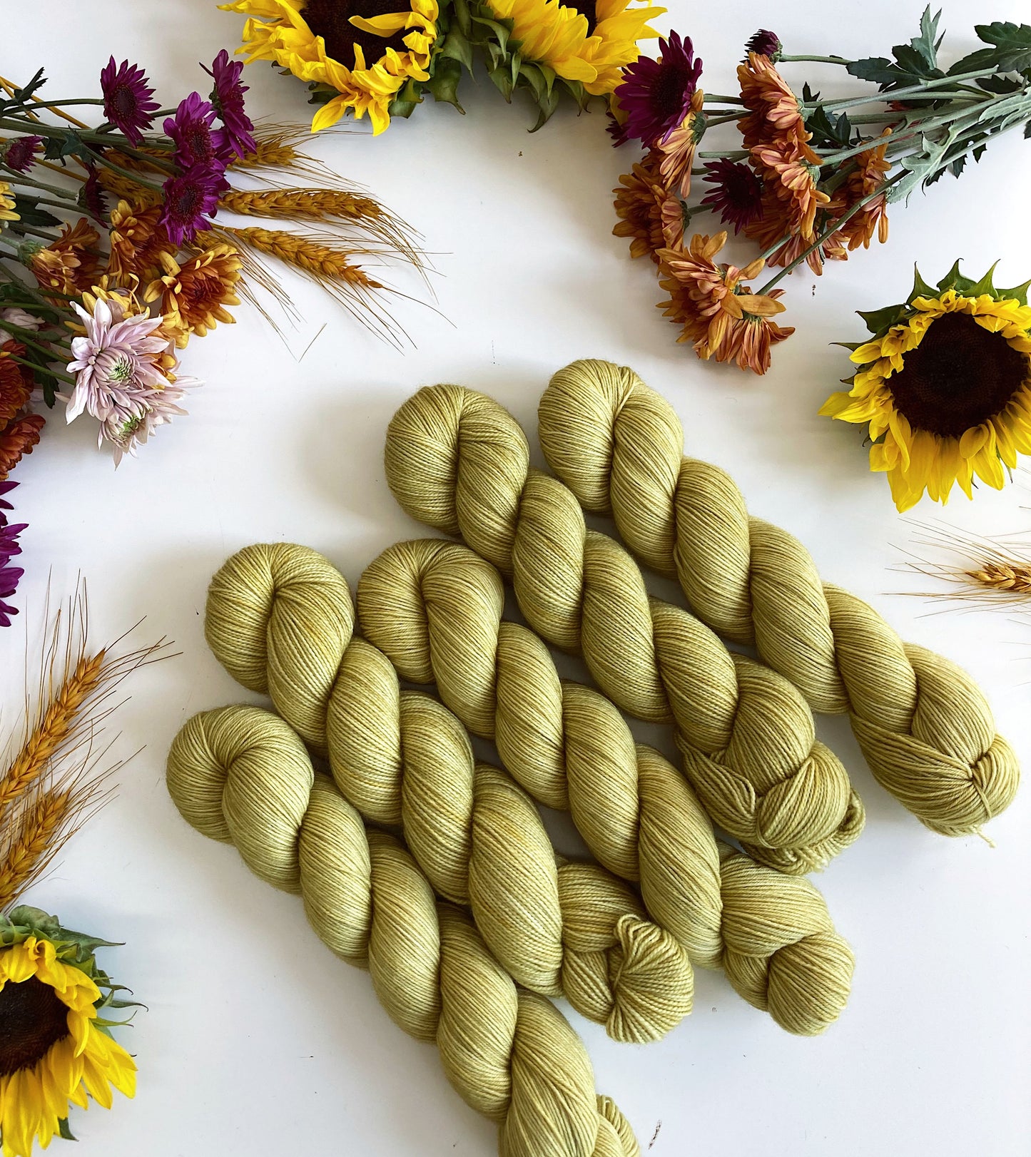 COLOR NO. 12 Sprout • Ready to Ship