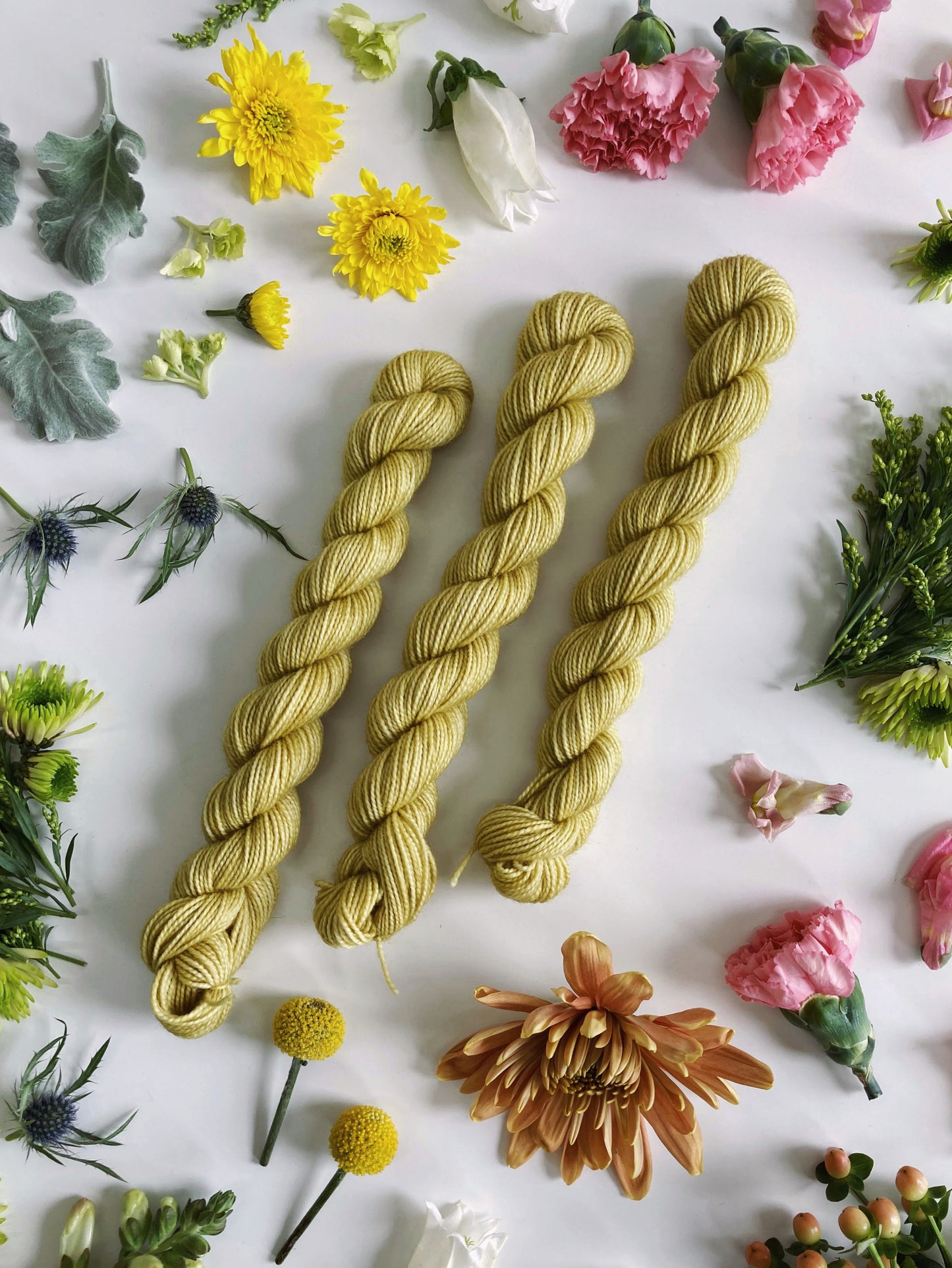 MINI SKEIN Color No. 12 Sprout