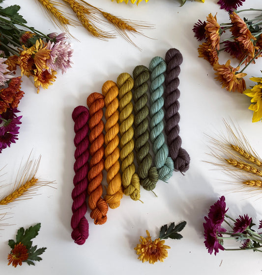 AUTUMN TONALS Mini Skein Set • Ready to Ship