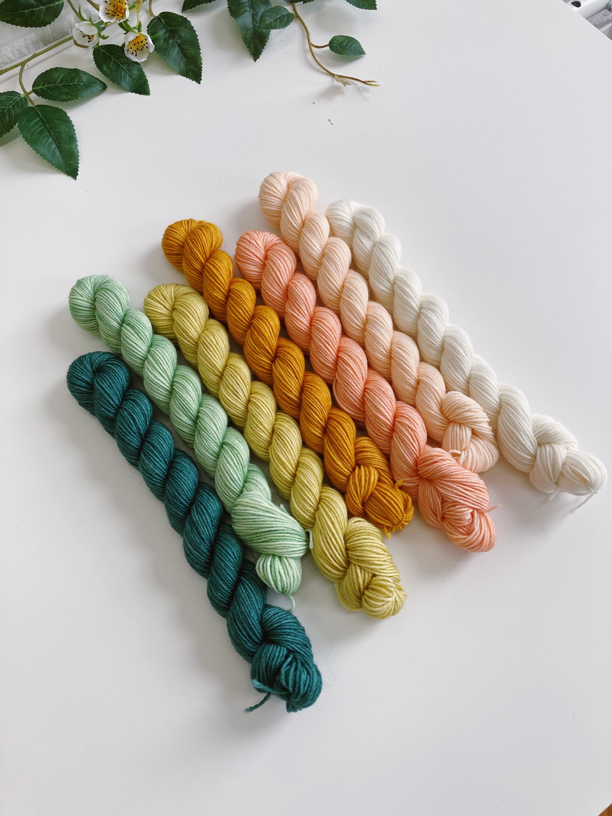 Set of 5 Skeins Alize Wooltime Solid Colors and Self-striping